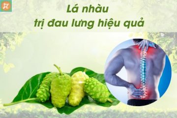 la nhau tri dau lung hieu qua va an toan