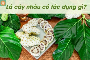 la cay nhau co tac dung gi voi suc khoe