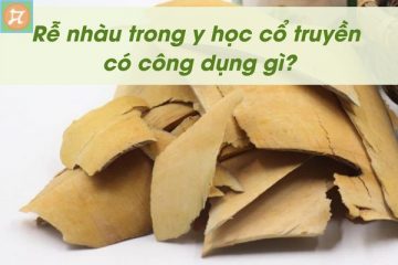 cong dung cua re nhau trong y hoc co truyen