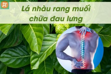 la nhau tri dau lung hieu qua