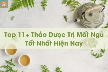 thao duoc tri mat ngu tot nhat hien nay